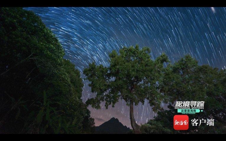 初音大冒险